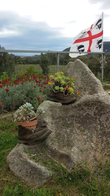 Alojamento de Turismo Rural Su Solianu