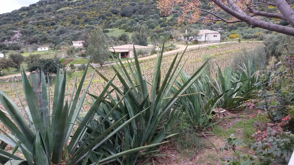 Su Solianu Farm stay Bari Sardo