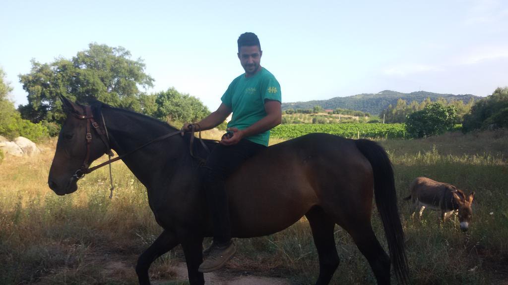 Su Solianu Farm stay Bari Sardo