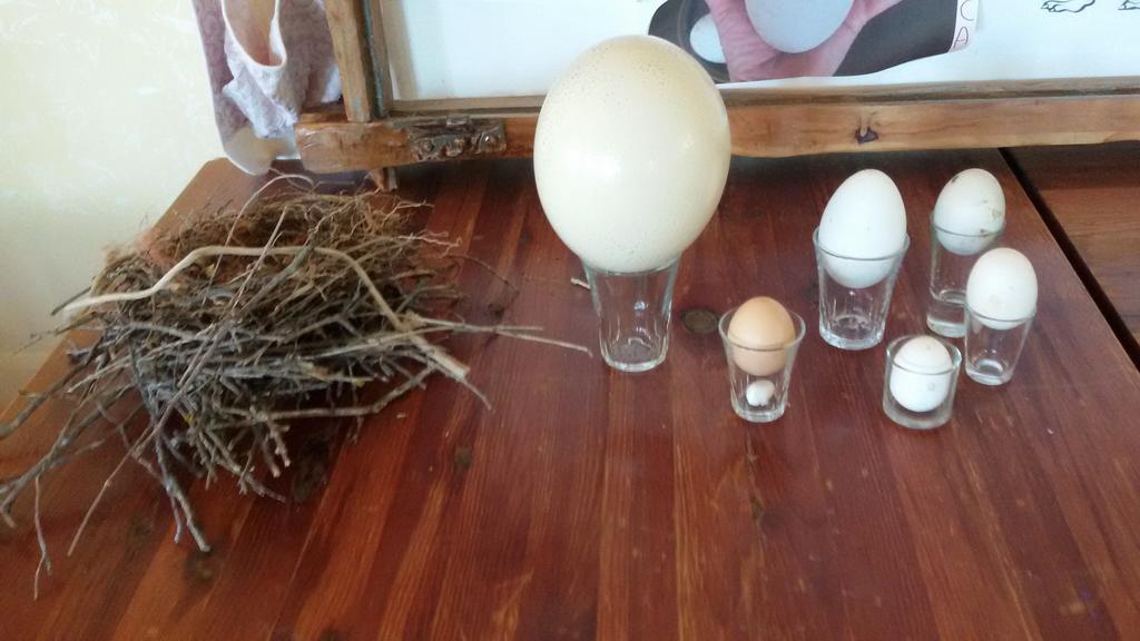 Bauernhof Su Solianu Bari Sardo