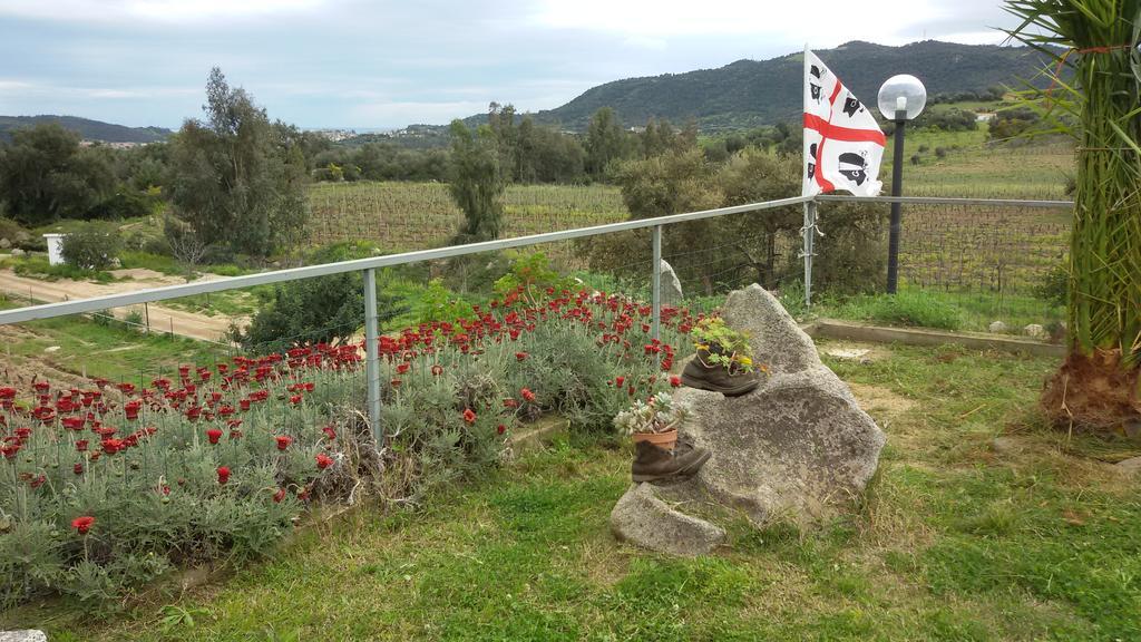 Farm stay Su Solianu *